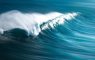 Sara Ann Harper – Pacific Wave Events Sara Ann Harper - Pacific Wave Events