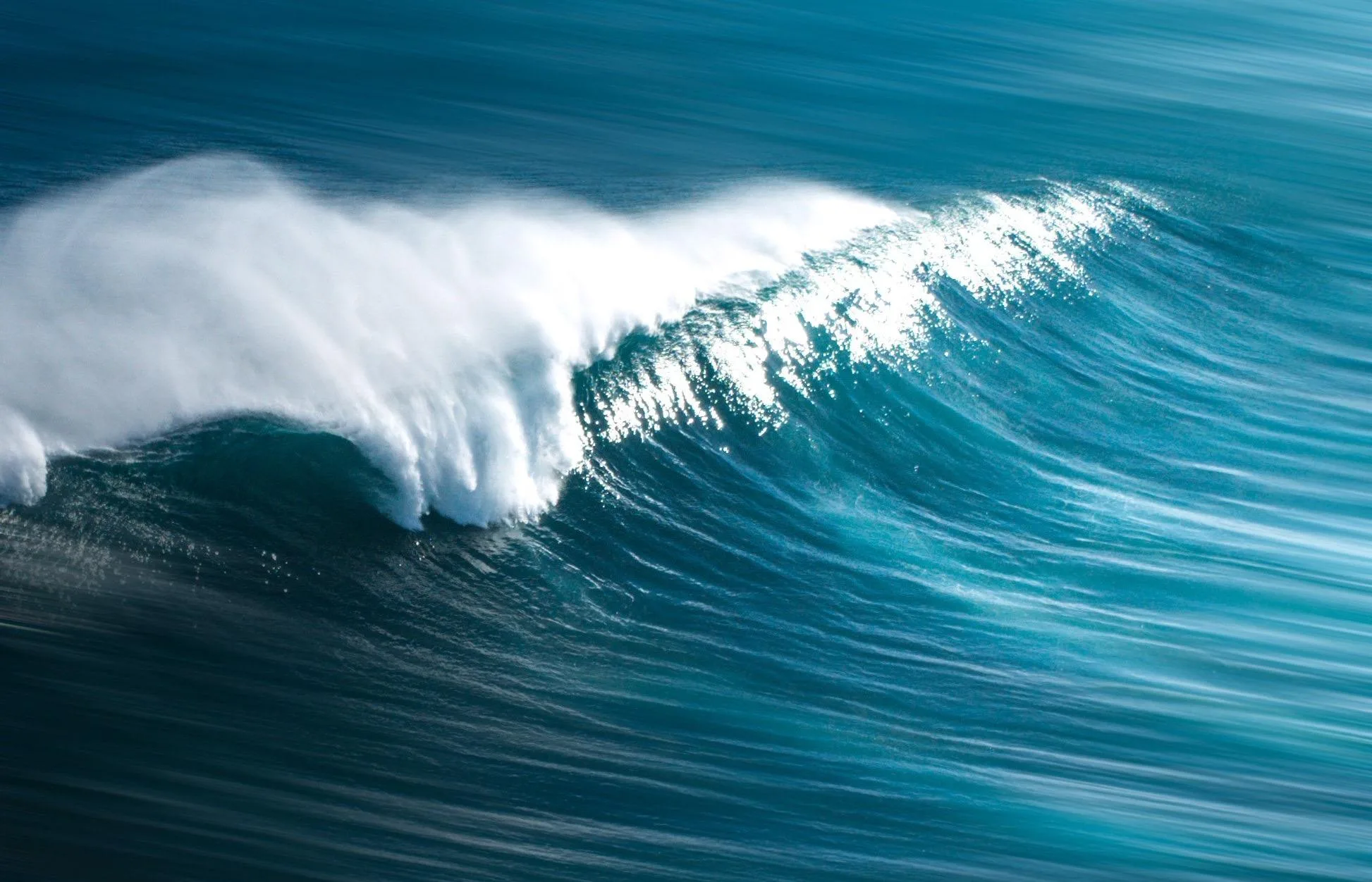 Sara Ann Harper – Pacific Wave Events Sara Ann Harper - Pacific Wave Events