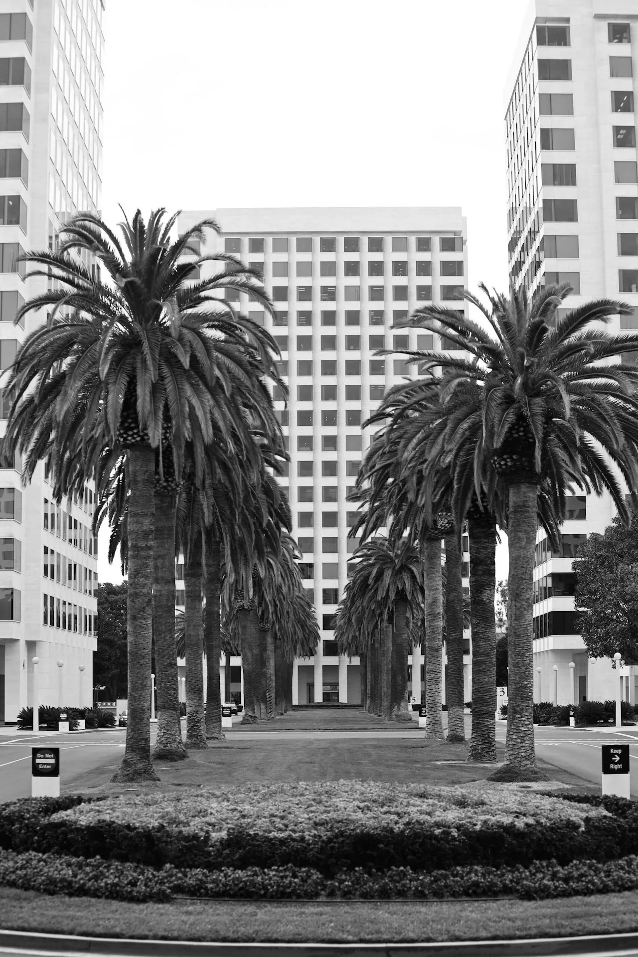 Pacheco Neach Pacheco Neach