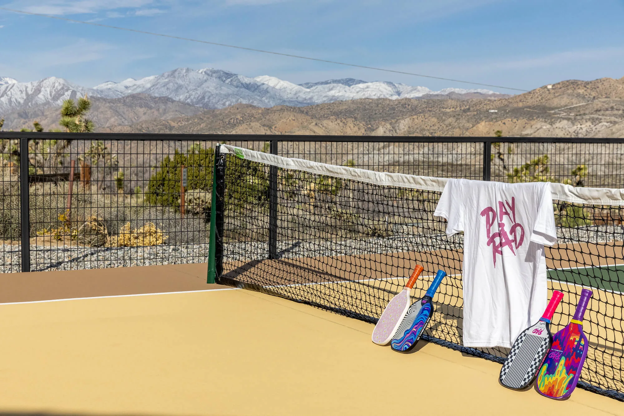 Pickleball Pickleball