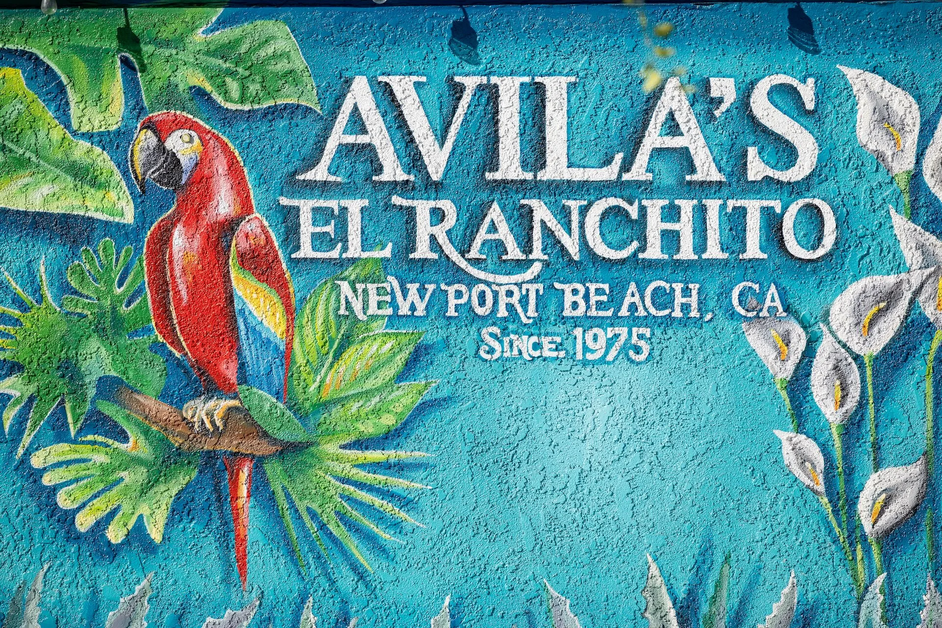 Avilas El Ranchito Avilas El Ranchito